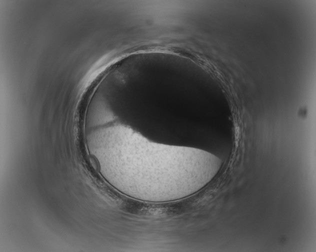 X0000116120295200912141052