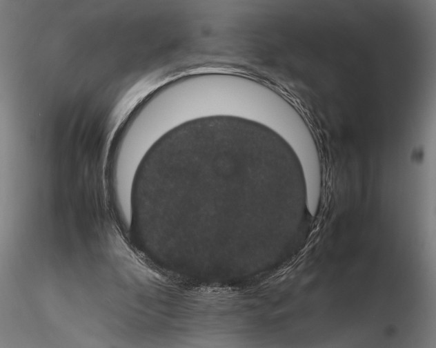 X0000116120296200912141052