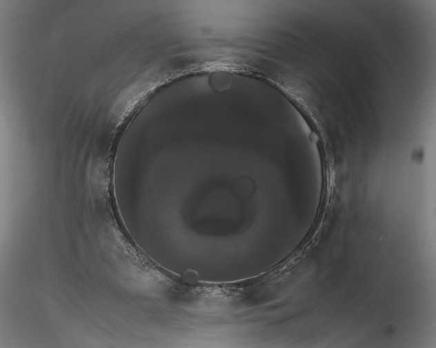 X0000116120297200912141052