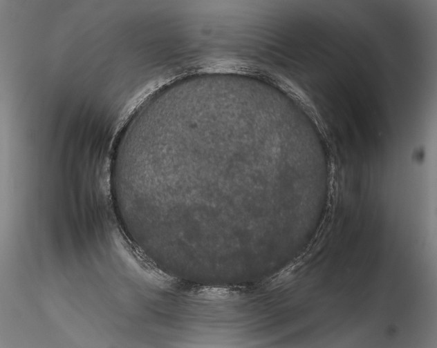 X0000116120298200912141052