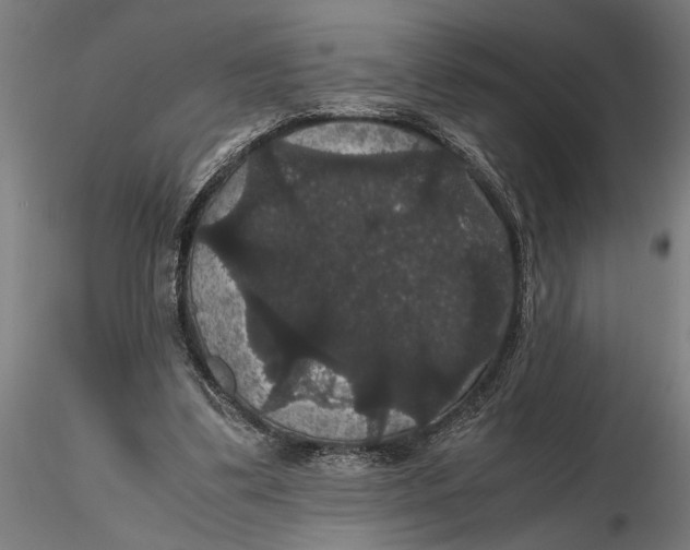 X0000116120299200912141052