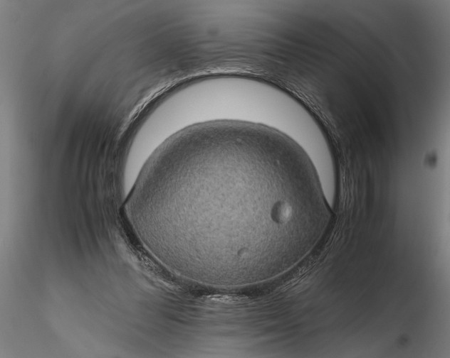 X0000116120300200912141052
