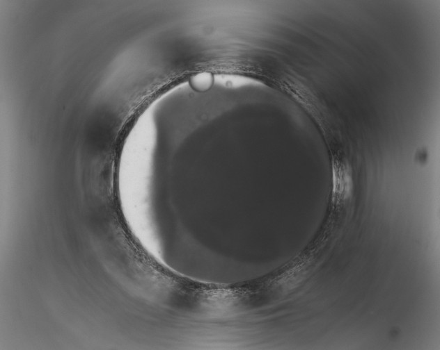 X0000116120301200912141052
