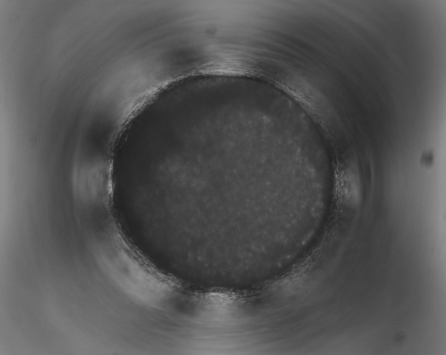 X0000116120302200912141052