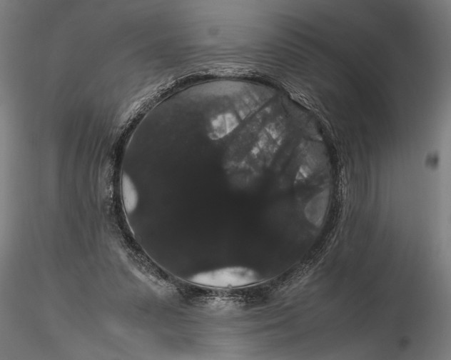 X0000116120303200912141052