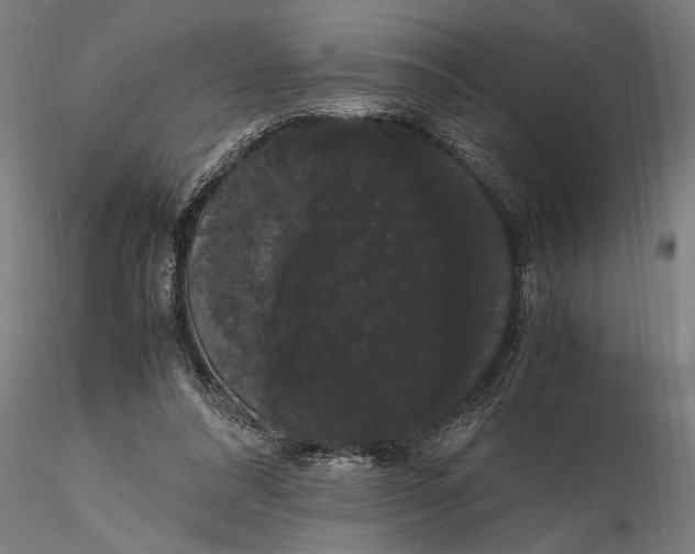 X0000116120304200912141052