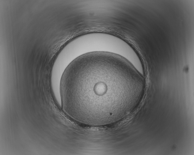 X0000116120305200912141052