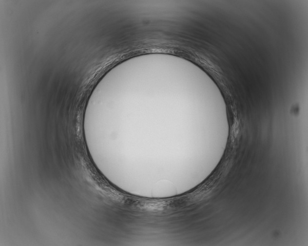 X0000116120306200912141052
