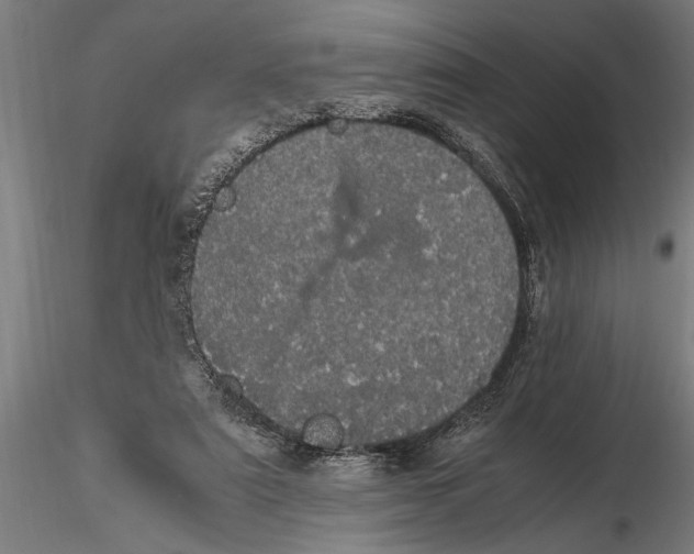 X0000116120307200912141051