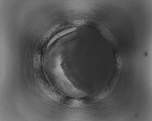 X0000116120308200912141051