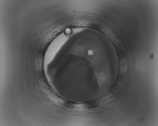 X0000116120309200912141051