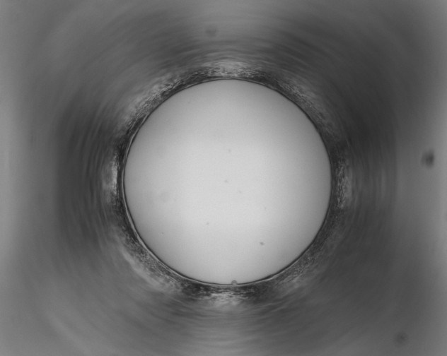 X0000116120310200912141051