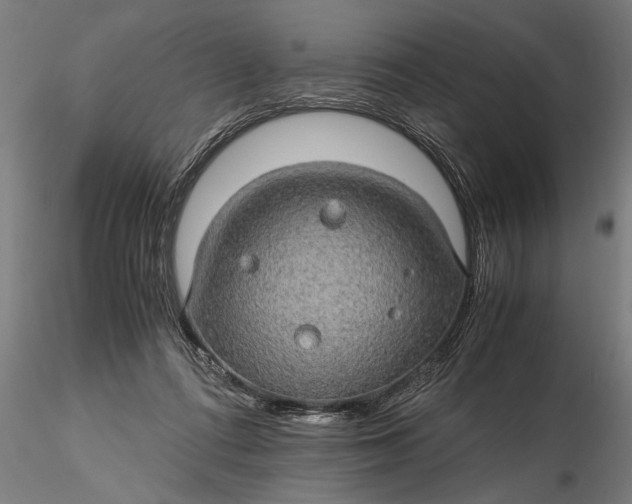 X0000116120312200912141051