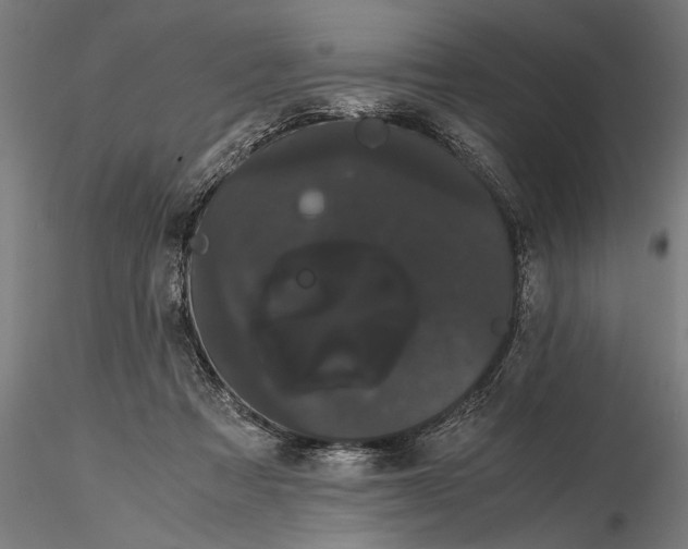 X0000116120313200912141051