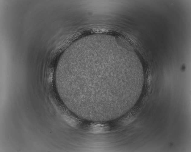 X0000116120315200912141051