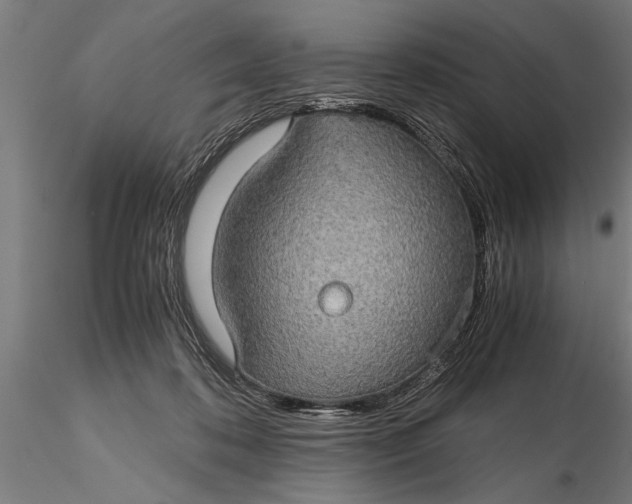 X0000116120316200912141051