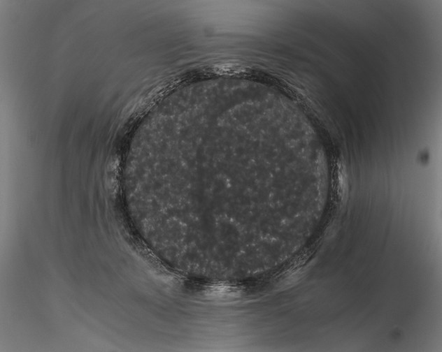 X0000116120319200912141051