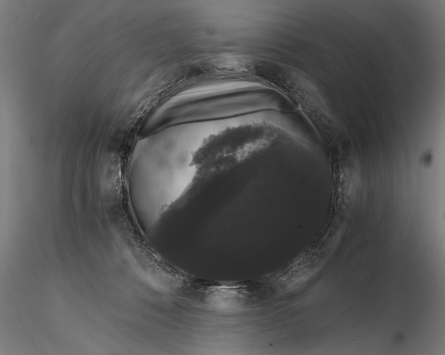 X0000116120320200912141051