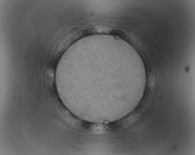 X0000116120321200912141051