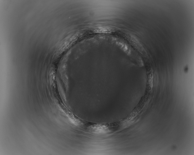 X0000116120322200912141051