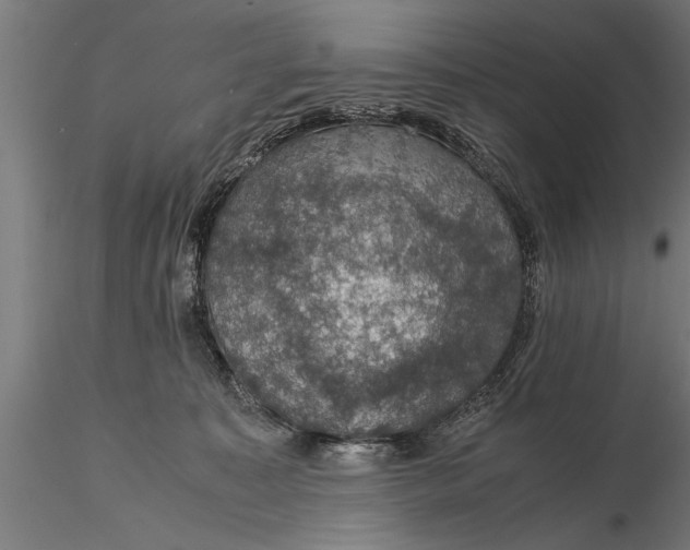 X0000116120323200912141051