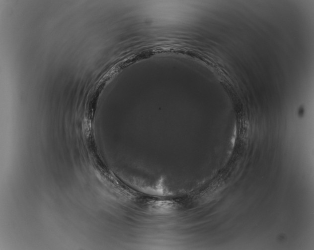 X0000116120324200912141051