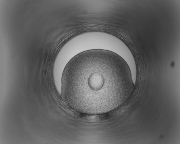 X0000116120325200912141051