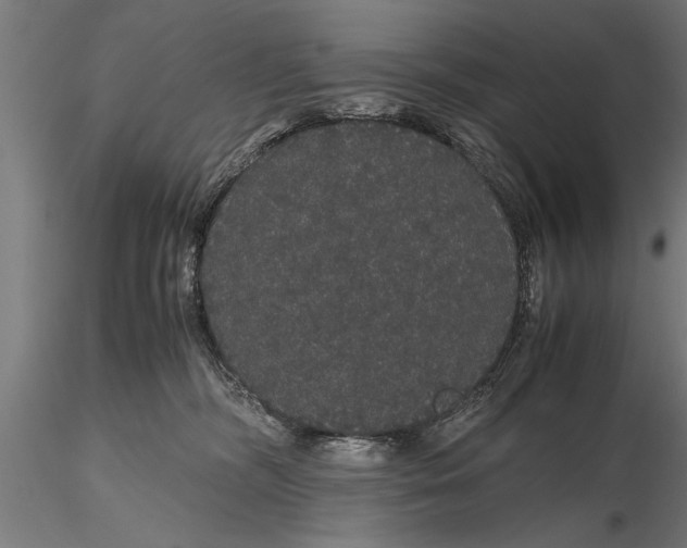 X0000116120326200912141051