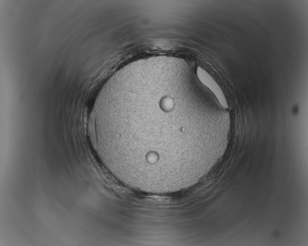 X0000116120328200912141051