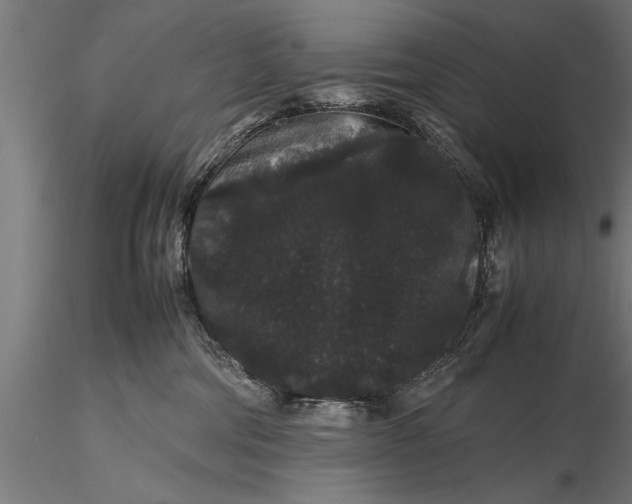 X0000116120330200912141051