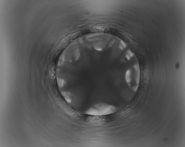 X0000116120331200912141051