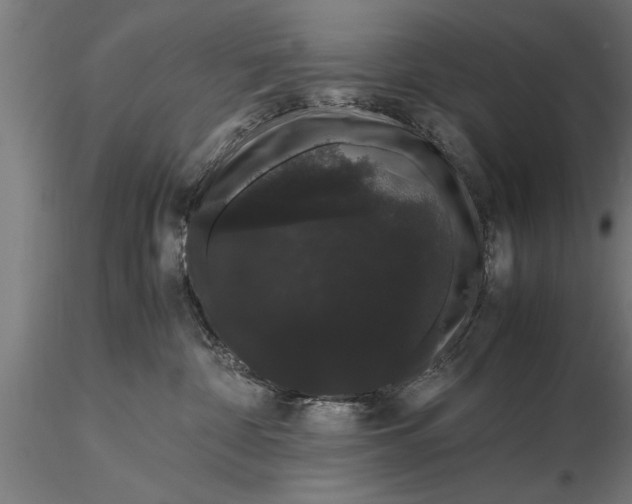 X0000116120332200912141051