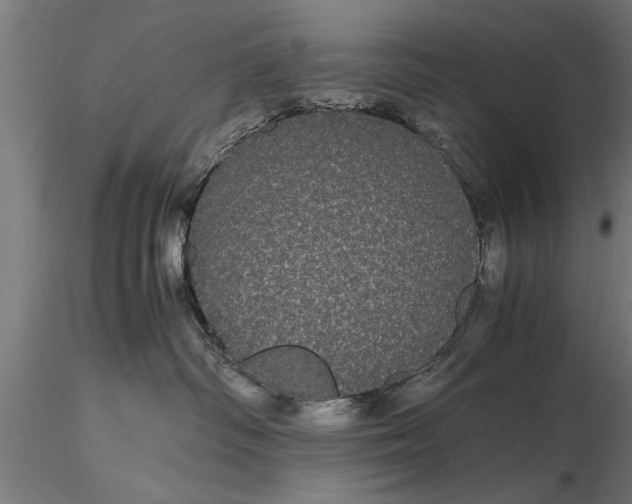 X0000116120334200912141051