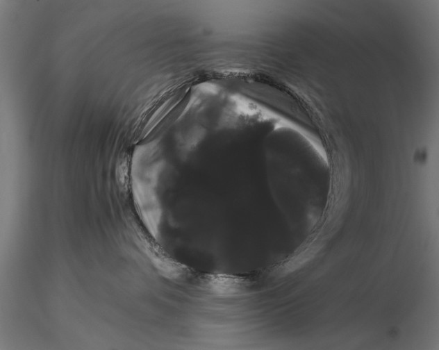 X0000116120336200912141051