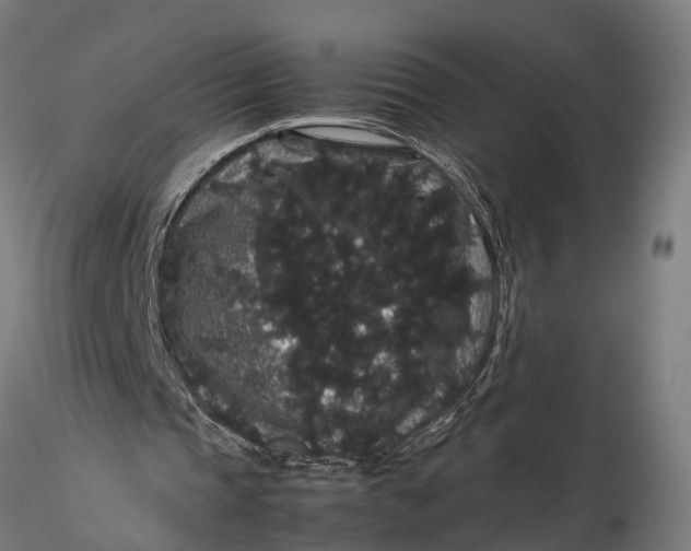 X0000116120337200912141050