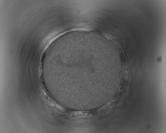 X0000116120338200912141050