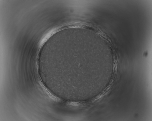 X0000116120341200912141050