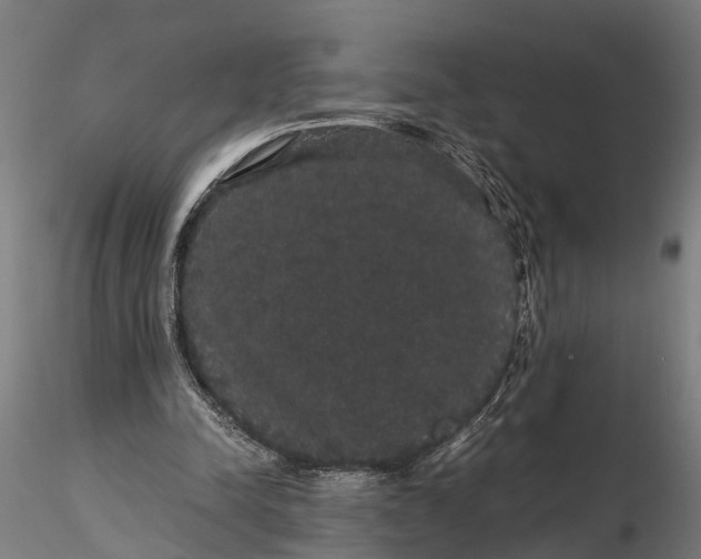 X0000116120342200912141051