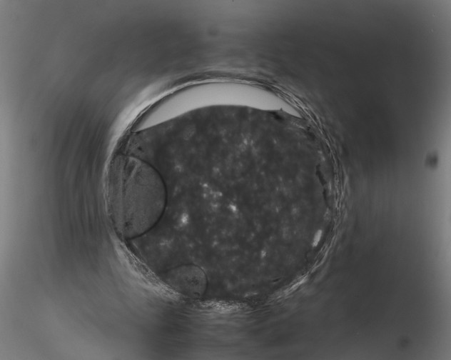 X0000116120343200912141051