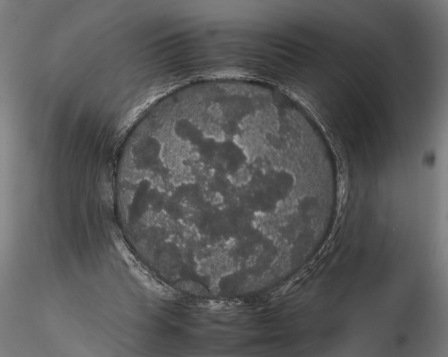 X0000116120345200912141051