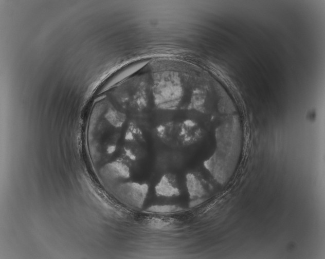 X0000116120346200912141051