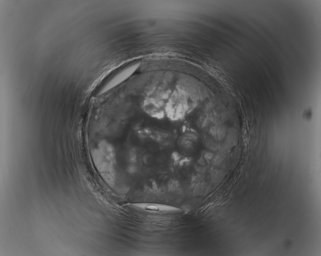 X0000116120347200912141051