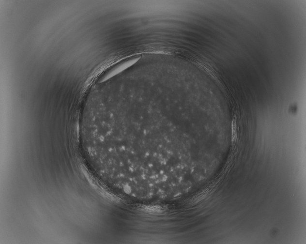 X0000116120349200912141051