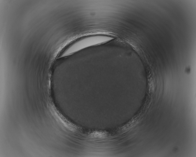 X0000116120350200912141051