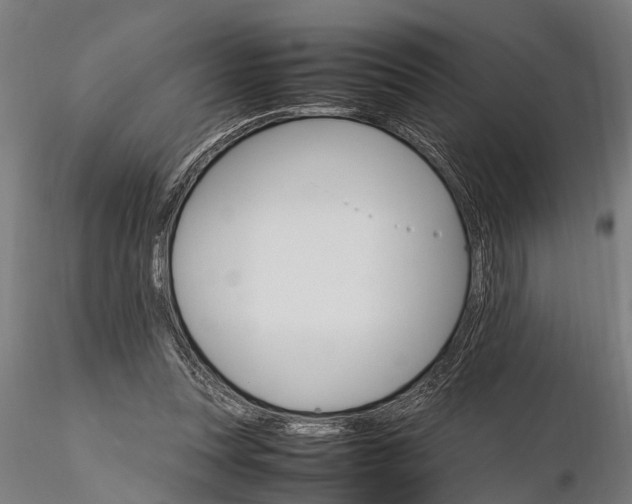 X0000116120351200912141051