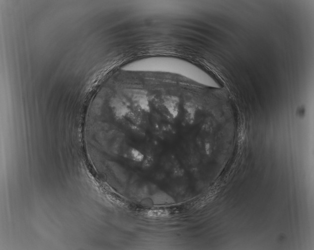 X0000116120353200912141051