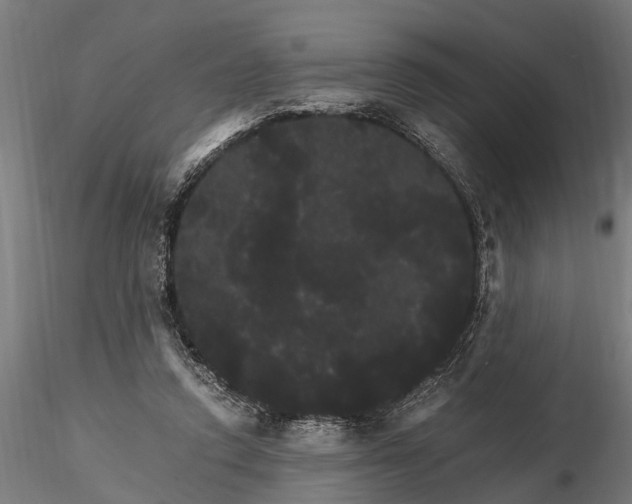 X0000116120354200912141051