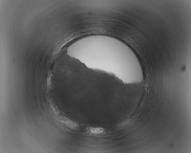 X0000116120355200912141051