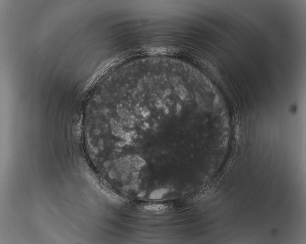 X0000116120357200912141051