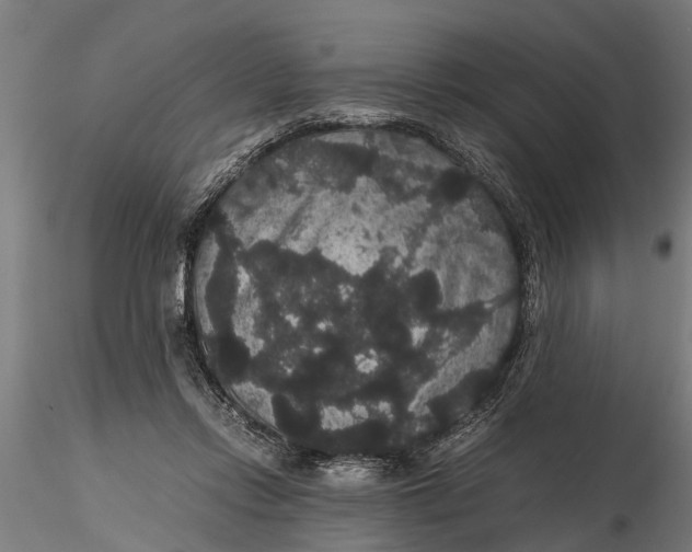 X0000116120358200912141051